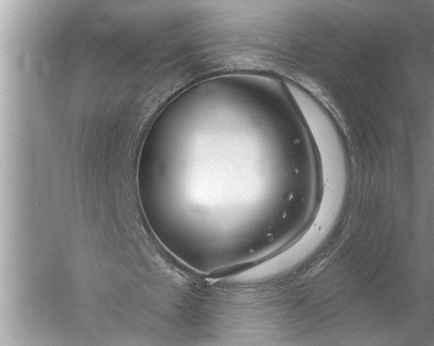 X0000057070481200510010137