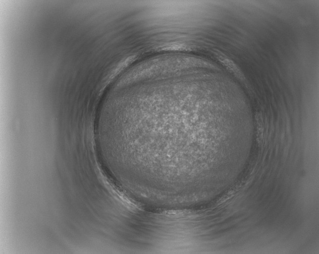 X0000057070482200510010137