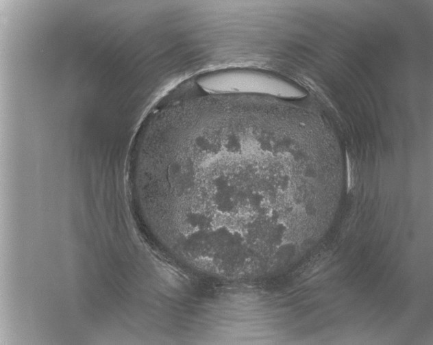 X0000057070483200510010137