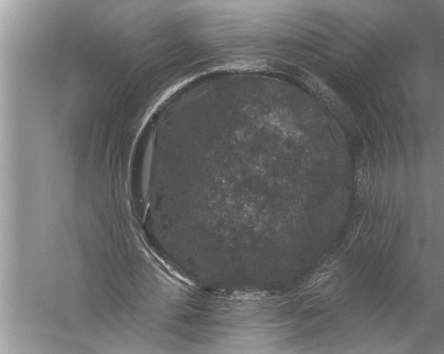 X0000057070484200510010137