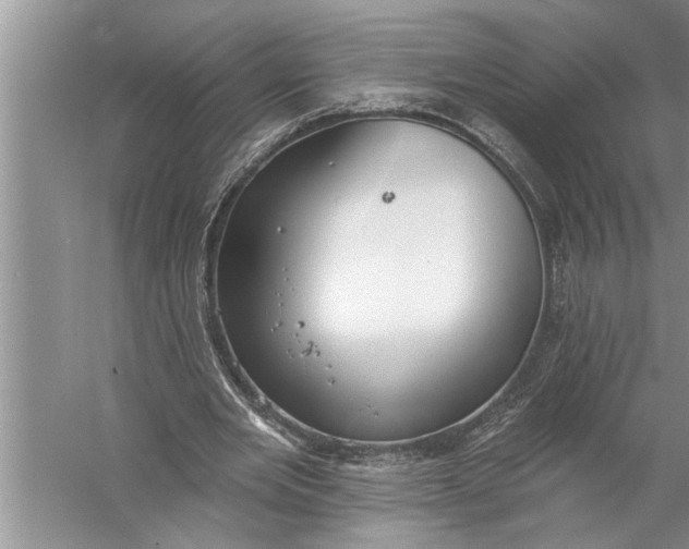 X0000057070485200510010137