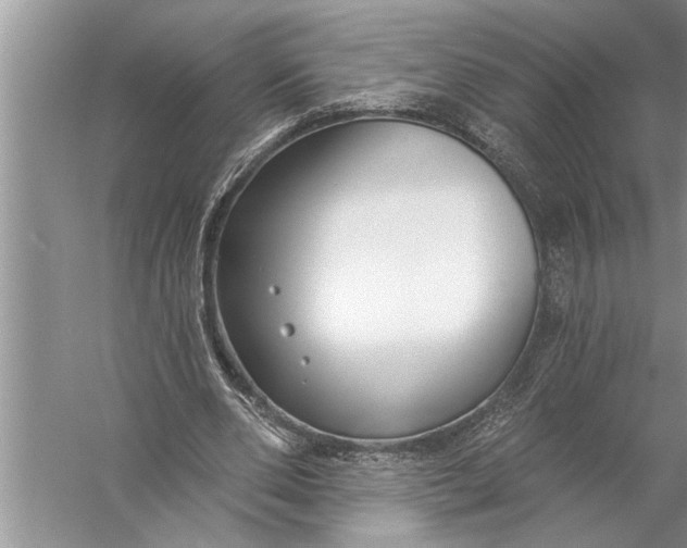 X0000057070486200510010137