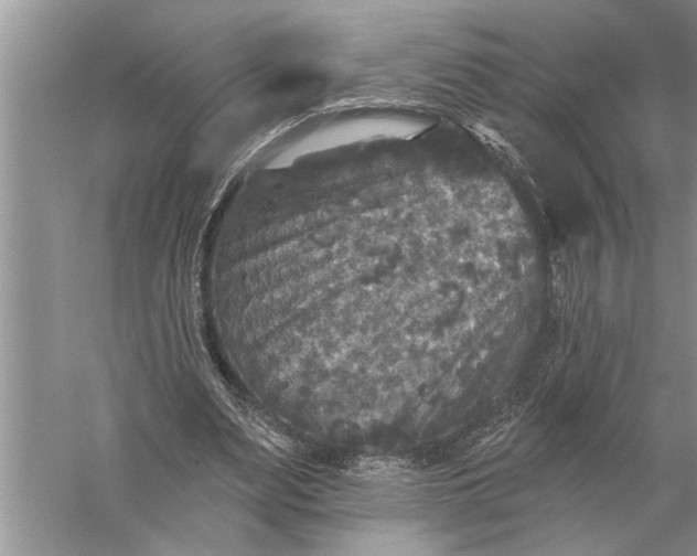 X0000057070487200510010137