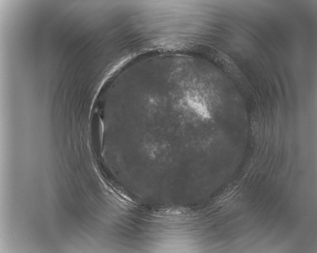 X0000057070488200510010137