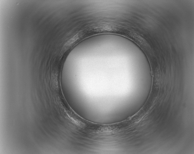 X0000057070489200510010137