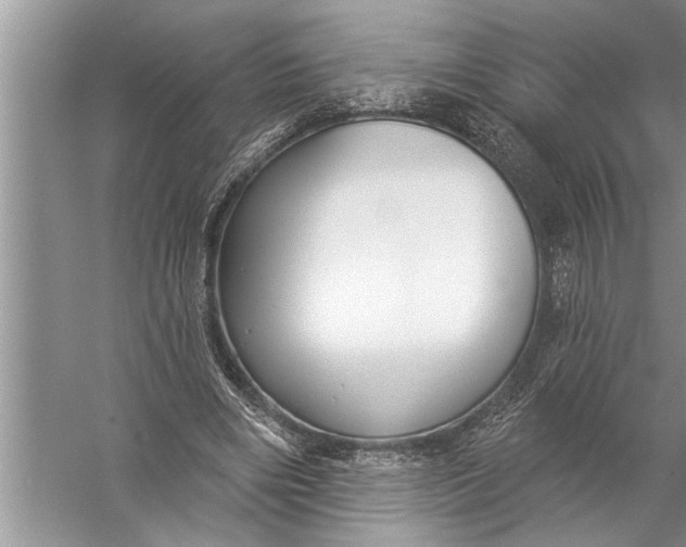 X0000057070490200510010137