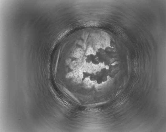 X0000057070491200510010137