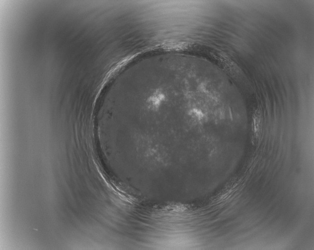 X0000057070492200510010137