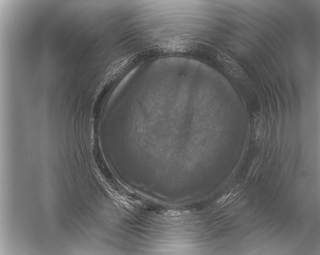 X0000057070494200510010137