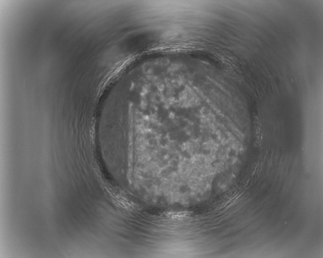 X0000057070495200510010137