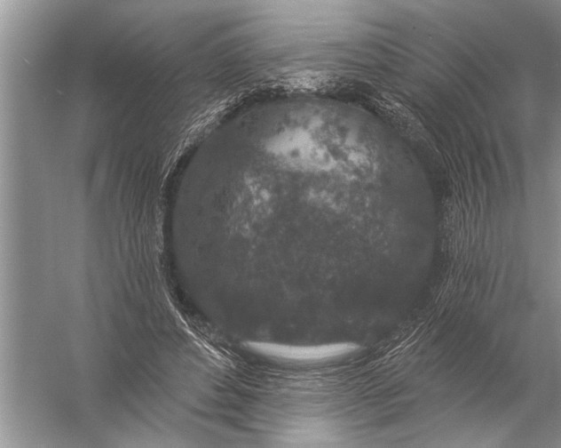 X0000057070496200510010137