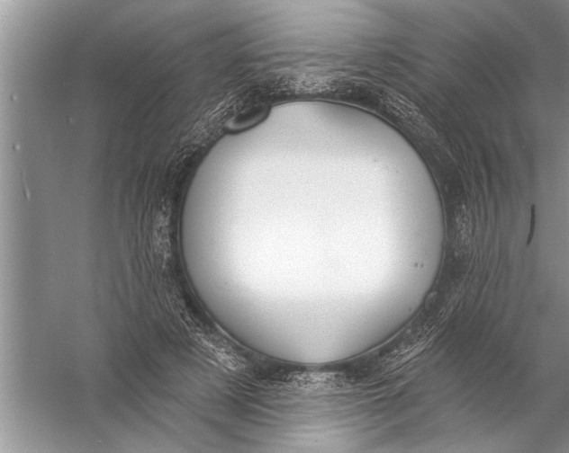 X0000057070497200510010137