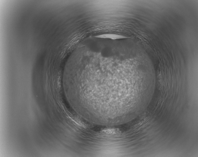 X0000057070499200510010137