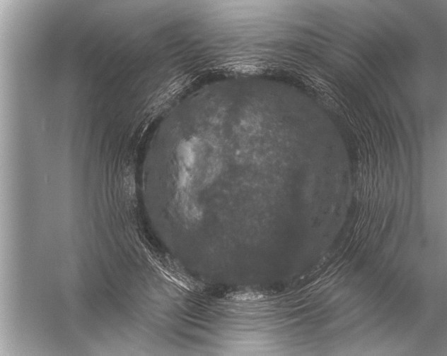 X0000057070500200510010137