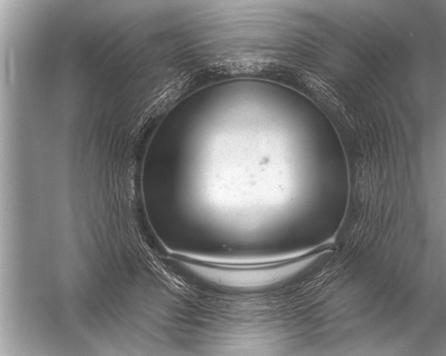 X0000057070501200510010137