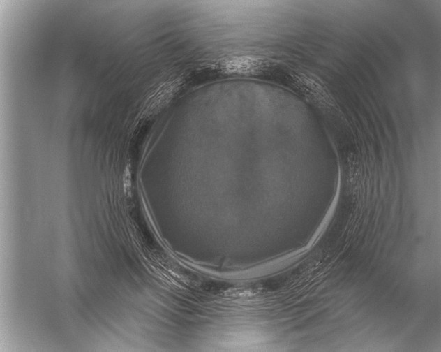 X0000057070502200510010137