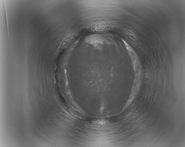 X0000057070503200510010137