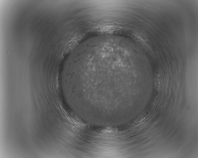 X0000057070504200510010137