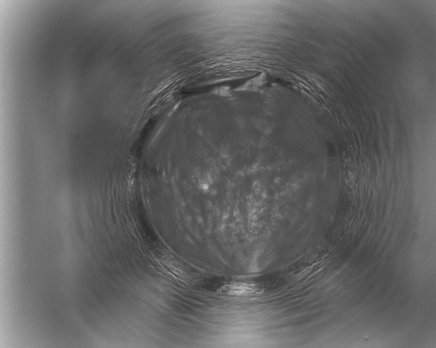 X0000057070507200510010137