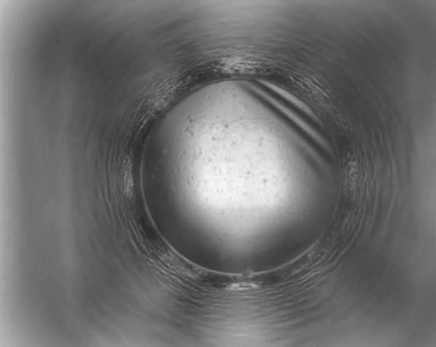 X0000057070508200510010137