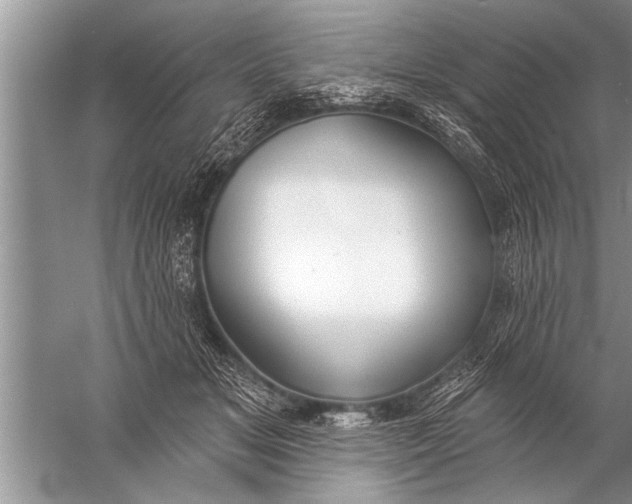 X0000057070509200510010137