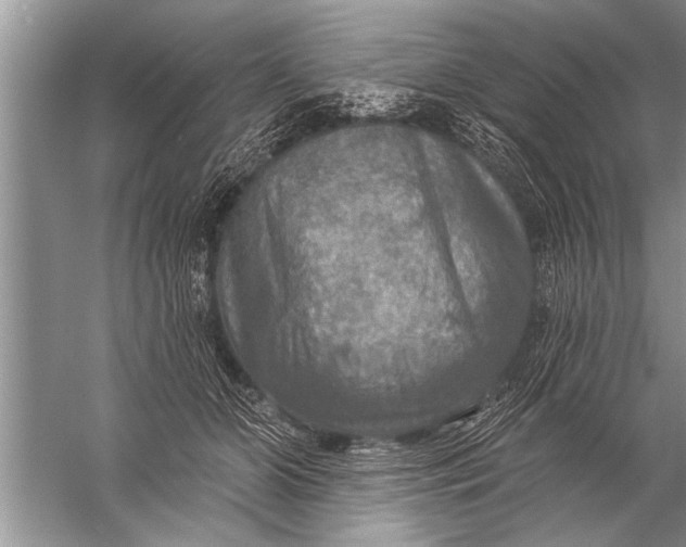 X0000057070510200510010137