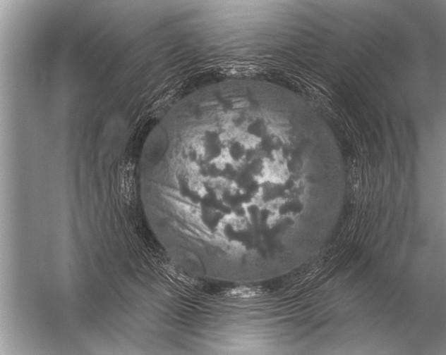 X0000057070511200510010137