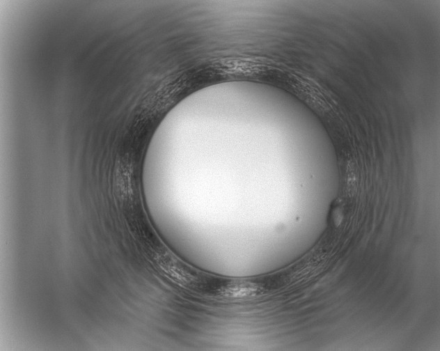 X0000057070514200510010137