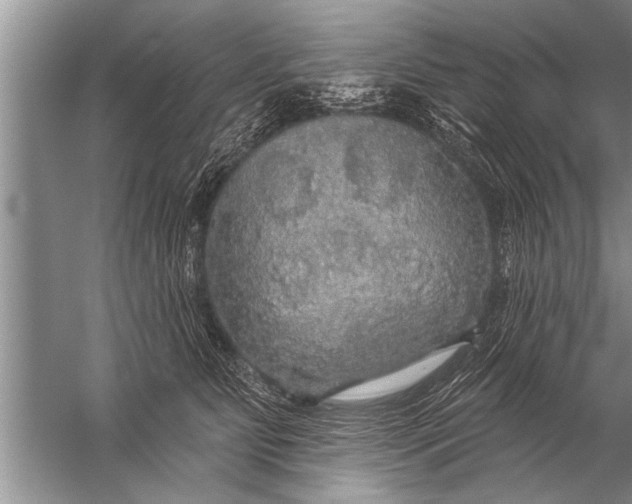 X0000057070515200510010137