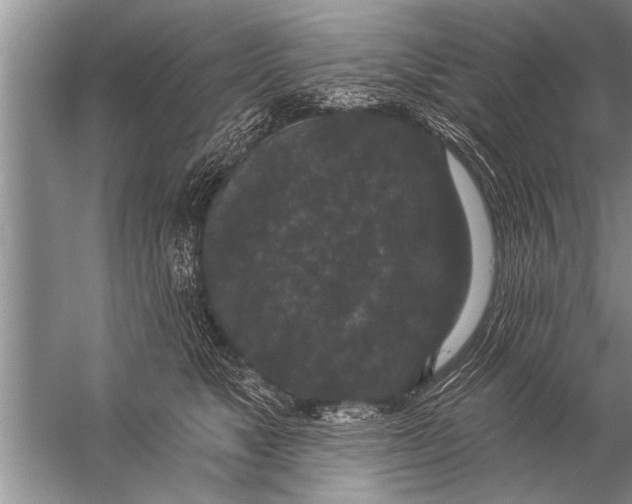 X0000057070517200510010137