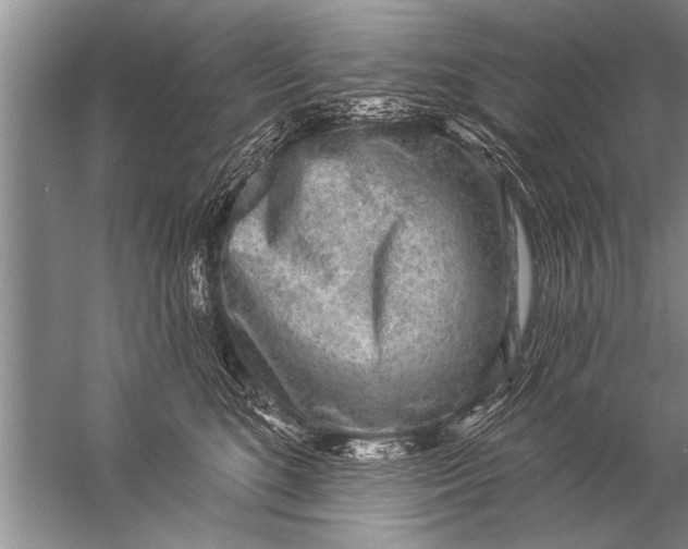 X0000057070520200510010137