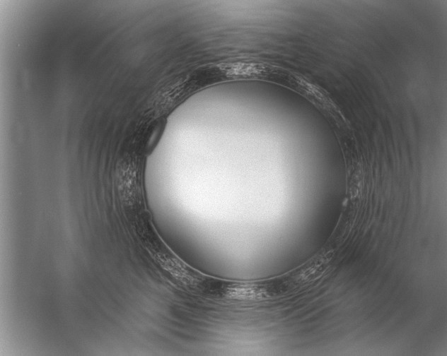 X0000057070521200510010137