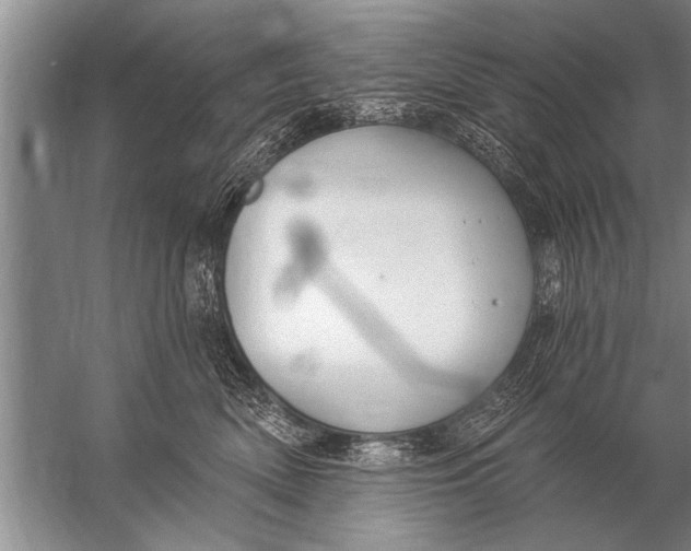 X0000057070522200510010137