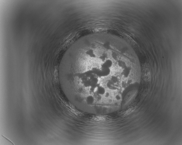 X0000057070523200510010137