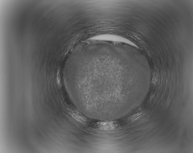 X0000057070524200510010137