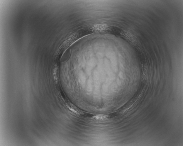 X0000057070526200510010137