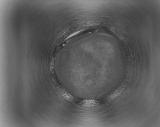 X0000057070528200510010137