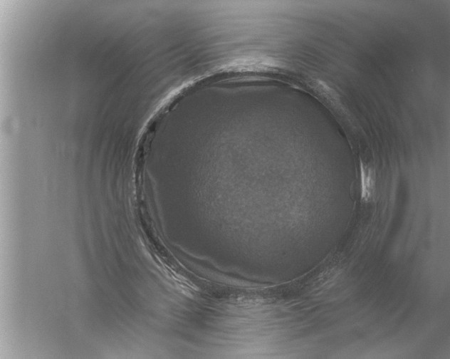 X0000057070531200510010136