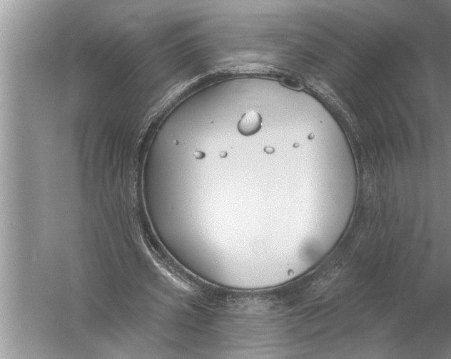 X0000057070533200510010136