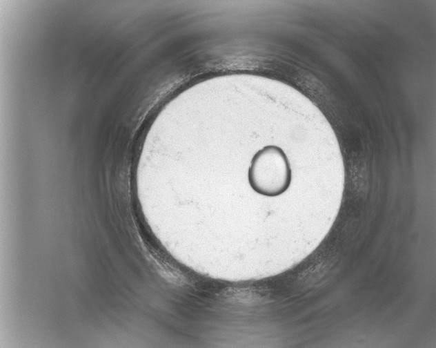 X0000057070534200510010136