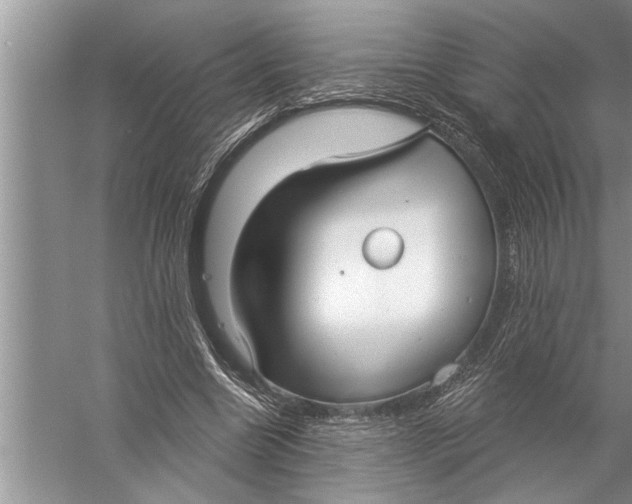 X0000057070538200510010136