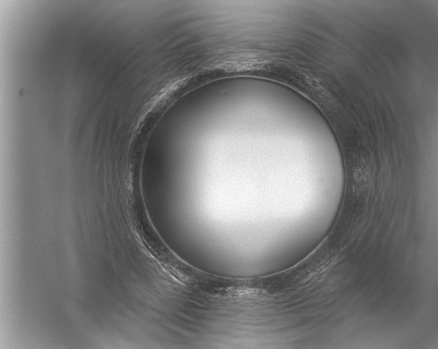 X0000057070539200510010136