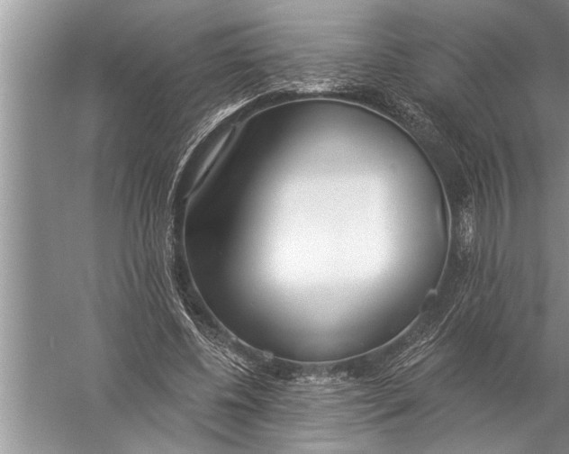 X0000057070540200510010136