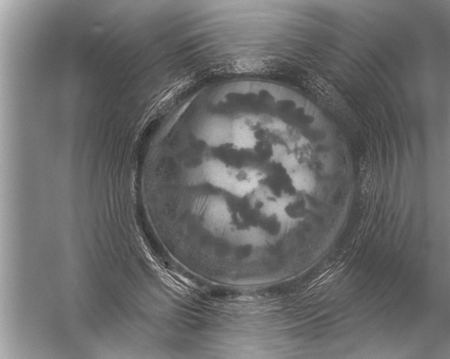 X0000057070542200510010136