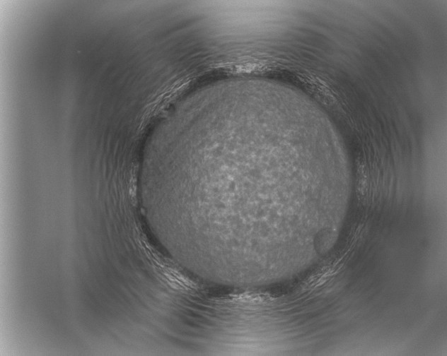 X0000057070545200510010136