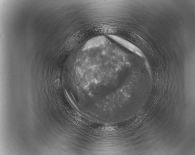 X0000057070553200510010136