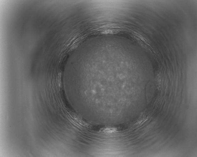 X0000057070554200510010136