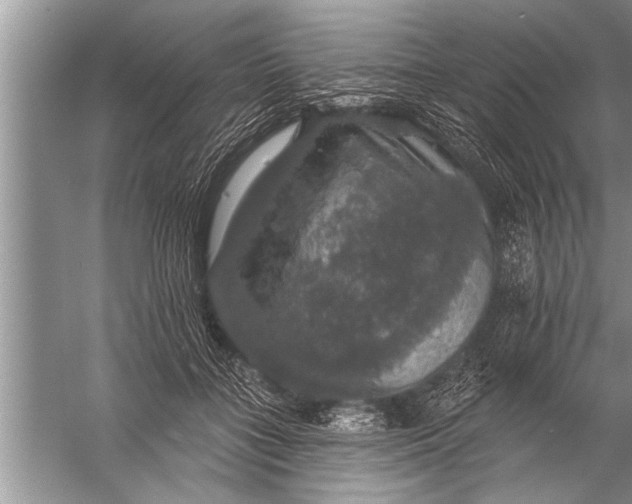 X0000057070555200510010136