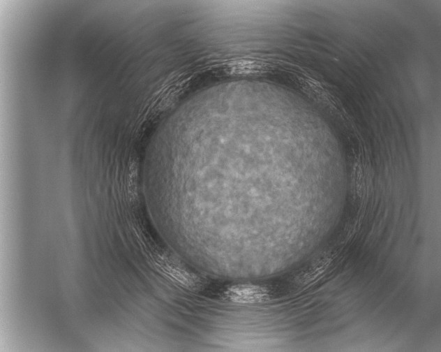 X0000057070557200510010136