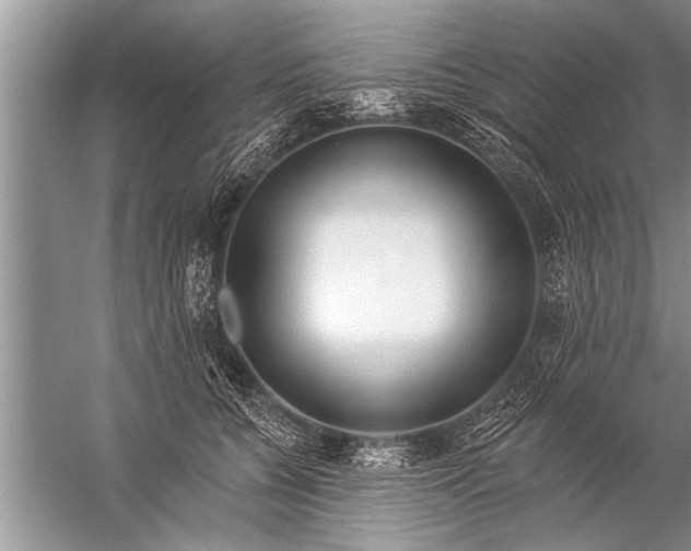X0000057070560200510010136